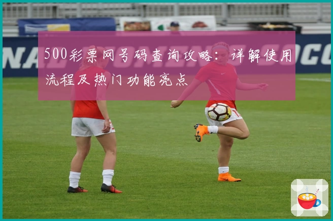 500彩票网号码查询攻略：详解使用流程及热门功能亮点