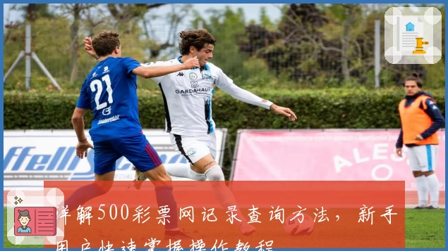 详解500彩票网记录查询方法，新手用户快速掌握操作教程