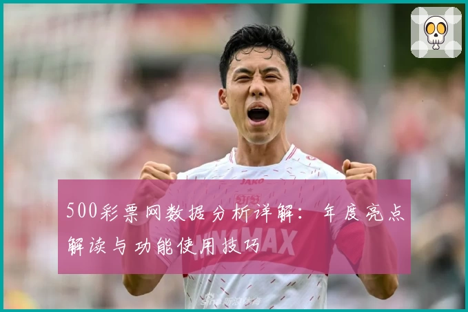 500彩票网数据分析详解：年度亮点解读与功能使用技巧